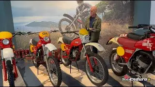 LE RADICI DELLA PASSIONE 