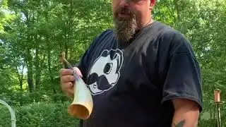 Horn, shofar, hunting horn