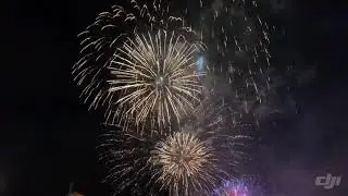BERLIN FIREWORKS light up the sky. Year 2020