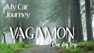 Trip to vagamon | Vagamon tourist Places | Vagamon Travel | Vagamon malayalam vlog |  Vagamon medows