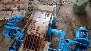 dry date seed extracted