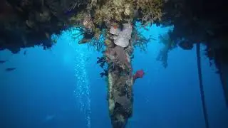 Dive 32 Mohammed Hisabella