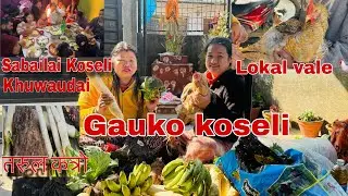 Gauko koseli Lokal Vale Sabailai khuwaudai 😊 Maghi special #tanujathapa 