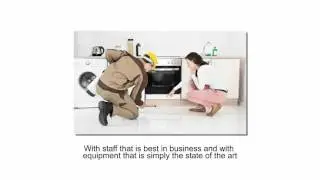 Pest Control Denver