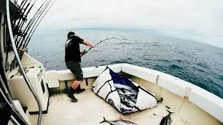 Tuna Fishing with Prime Time Sportfishing