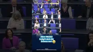💙Alice Weidel nimmt sich die Gr&uuml;nen vor!🚨  #afd #aliceweidel #wahlen2025