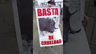 🟢PROTESTA TOTAL CONTRA LA CORRIDA DE TOROS EN PLAZA DE ACHO; NELIDA KCALLA JUNTO A ACTIVISTAS.