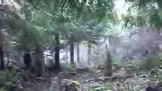 Mossy Roc Disc Golf Course