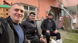 HERKESE İYİ PAZARLAR MİRO GÜVERCİN İSTİŞARESİ 🌹