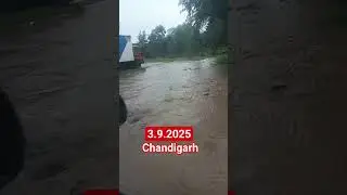 Heavy Rain Falls in Chandigarh #rain #heavyrain #flood #dam #chandigarh