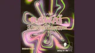 Электрозаводск EP - Bruce Vanderro Aka Rawa&iuml; - Stance (Deep In Dis Records)