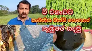 වී වගාවට කාබනික බන්ඩි පොහොර ගෙදර හදමු