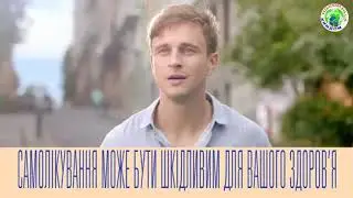 Ежедневные гигиенические прокладки Discreet