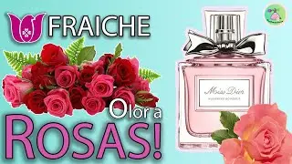 Los Mejores Perfumes FRAICHE Con Aroma a Rosas Frescas Como Recién Cortadas!!!  🌷🌷🌷