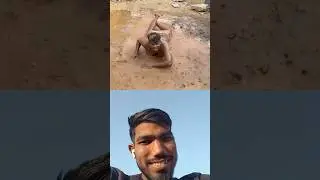 #bankubhaiya