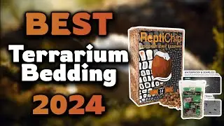 Top Best Terrarium Bedding in 2024 & Buying Guide - Must Watch Before Buying!