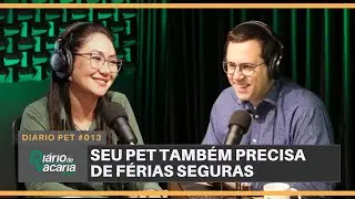 Ver&atilde;o, estrada e patinhas seguras: f&eacute;rias boas tamb&eacute;m para os pets da fam&iacute;lia #ver&atilde;o #petlovers