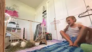 Guinea pig bonding ￼🥳