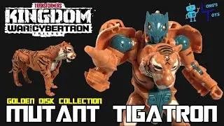 MUTANT TIGATRON Review! Transformers Kingdom Golden Disc Collection