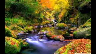 Refresh & ENERGY BOOST in 5 minutes - Guided Meditation