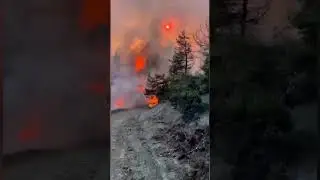 Raging wildfires engulf popular Turkey holiday destination as locals battle flames