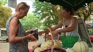 Tarn : la vente directe peut sauver les petits producteurs de melons