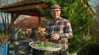 Tajna mog vrta ep. 260 23.01.2026. Riljanje zemlje, polegli ruzmarin i reznice, za&scaron;tita agave