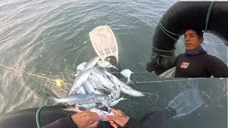 ASÍ RETIRÉ MIS REDES Y EXTRAJE LA PESCA DEL DÍA en la playa Milagros