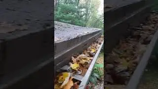 Woodl low pitch roof
