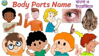 Body Parts Name in English and Bengali | Human Body Parts for Kids | Learn Body Parts | Body Parts