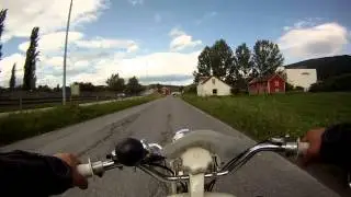 skogsl&oslash;pet2013