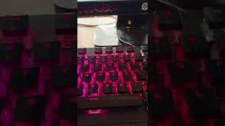 RGB gaming devices showcase ￼