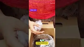 Cut Onion in 5 Seconds 🔥 Manual Food Processor