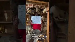 Я ждала, когда это появится на вашем экране, не могли бы вы нажать несколько кнопок, пожалуйста? ...