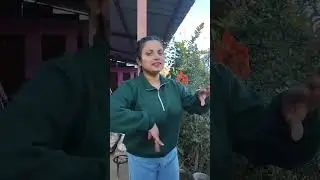 phadi treding song 🥰❣️ man tu bina hi lango lango 🥰🤝#kumauni #uttrakhnd #trending #song #travel