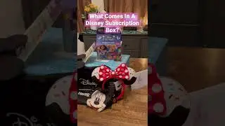 What comes in a Disney subscription box?
