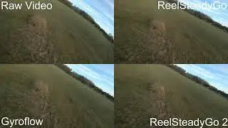Gyroflow, ReelSteadyGo, ReelSteadyGo 2 comparison (GoPro Hero 6 Black)