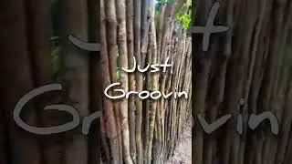 Bali groovin NCS (no copyright sound) ideas for background video sound