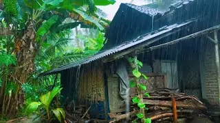 No Ads &bull; Rain & Thunder Sounds for Deep Sleep &ndash; 12 Hours Relaxing Sleep ASMR