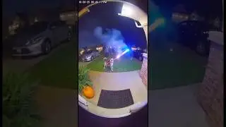Somebody come get they dog #dog #fireworks #animal