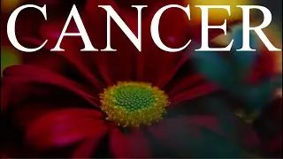 CANCER APRIL 2021 MONTHLY LOVE TAROT READING &ldquo; EX WANTS ANOTHER CHANCE 💙💙💙💙💜💜💜💗💗💗❤️❤️