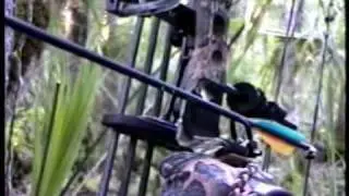 Real Huntin' -Turkey Hunting 2002 Spring Break Gobbers Florida