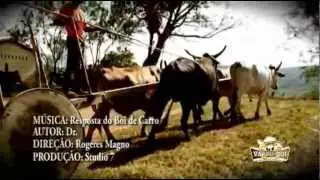 BANDA VALEU BOI  Resposta do Boi de carro.flv