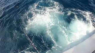 Deep Sea Fishing in the East China Sea | Electric Reel Action at 120m Depth!