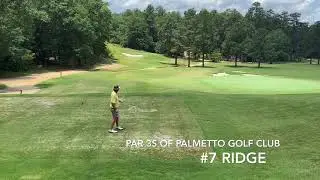 Palmetto Golf Club - Great Par 3s