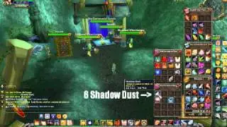 Exalted with Sha'Tari Skyguard (Riding Nether Ray Mount)