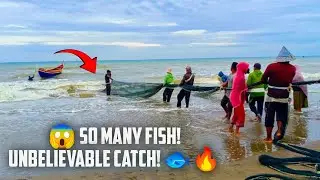 The Process of Land Trawl Nets Catching Large Amounts of Fish