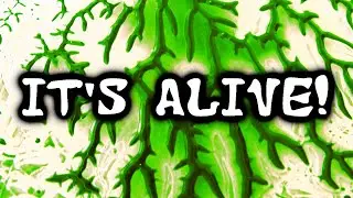 Easy Fractals Decalcomania Art and Pareidolia