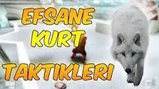 Wolfteam Efsane Buglar 2017 / Yeni Buglar
