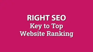 Best SEO Companies in US | Best Local SEO Agency in United States  | The Market Hut